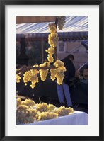 Framed Market on Cours Saleya, Old Town Nice, France