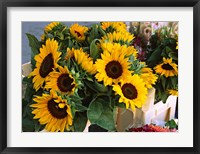 Framed Market Sunflowers, Nice, France