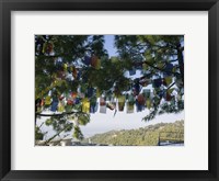 Framed Prayer Flags, Upper Dharamsala, Himachal Pradesh, India