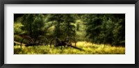 Framed Old Wagon in the Black Hills, South Dakota