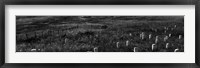 Framed Gravestones, Last Stand Hill, Little Bighorn Battlefield National Monument, Montana