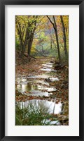 Framed Autumn at Schuster Hollow in Grant County, Wisconsin