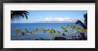 Framed Palm Trees on the Beach, Maui, Hawaii