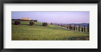 Framed Tree Line, Tuscany, Italy