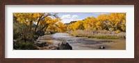 Framed Rio Grande River, Pilar, New Mexico