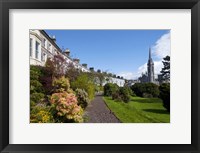 Framed St Coleman's Cathedral Beyond, County Cork, Ireland