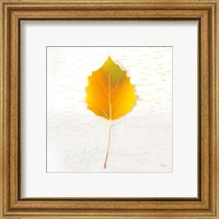 Framed 'Autumn Colors III' border=