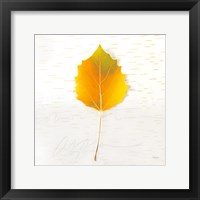 Framed 'Autumn Colors III' border=