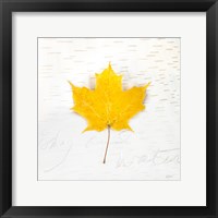 Autumn Colors II Framed Print