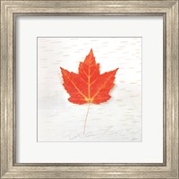 Framed 'Autumn Colors I' border=