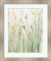 Framed Spring Grasses II Crop