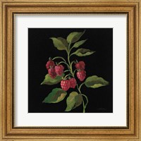 Framed 'Framboise no Words' border=