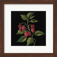 Framed 'Framboise no Words' border=