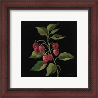 Framed 'Framboise no Words' border=