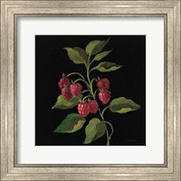 Framed 'Framboise no Words' border=