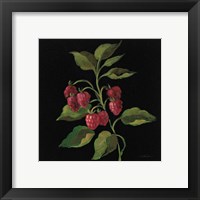 Framed 'Framboise no Words' border=