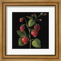 Framed 'Fraise no Words' border=