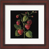 Framed 'Fraise no Words' border=