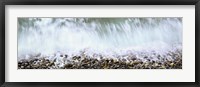 Framed Rocks of Calumet Beach, La Jolla, San Diego, California