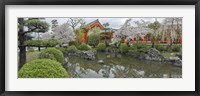 Framed Trees in Pond at Sanjusangen-Do Temple, Kyoto, Japan