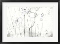 Framed Poppy Sketches I
