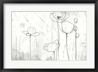 Poppy Sketches II Framed Print