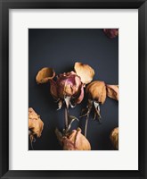 Wilted Dreams II Framed Print