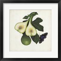 Fruit with Butterflies III Framed Print