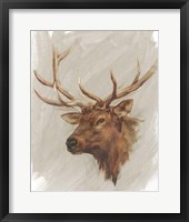 Western American Animal Study IV Framed Print