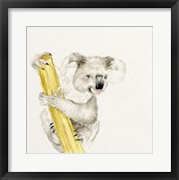 Framed Baby Koala II