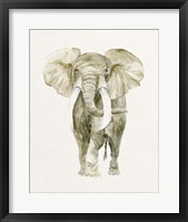 Baby Elephant I Framed Print