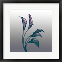 Framed Ombre Calla Lilies X-Ray