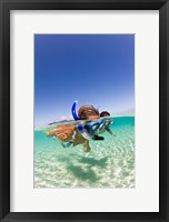 Framed Couple snorkeling near Beqa Lagoon, Beqa Island, Fiji