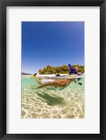 Framed Snorkeling, Beqa Island, Fiji