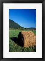 Framed Hay Bales in Litchfield Hills, Connecticut