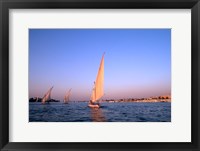 Framed Beautiful Sailboats Riding Along the Nile River, Cairo, Egypt