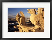 Framed Gargoyles of the Notre Dame Cathedral, Paris, France