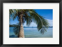 Framed Palm tree over clear waters around Nanuya Lailai Island, Blue Lagoon, Yasawa, Fiji, South Pacific