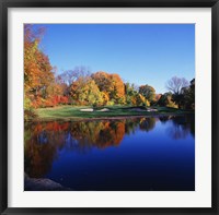 Framed Trees in a golf course, Patterson Club, Fairfield, Connecticut