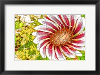 Floral Twist Framed Print