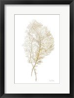 Fern Algae Gold on White Framed Print