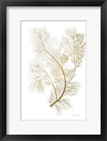 Fern Algae Gold on White 2 Framed Print