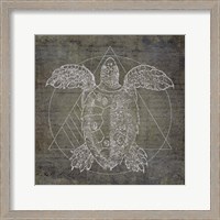 Framed Turtle Geometric Silver