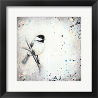 Framed Chickadee