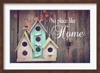 Framed No Place Like Home Bird Houses