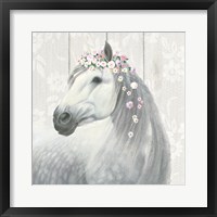 Framed Spirit Stallion II Square