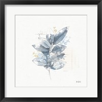 Floresta II Framed Print