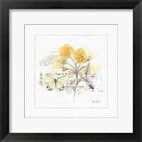 Sunny Day IV Framed Print