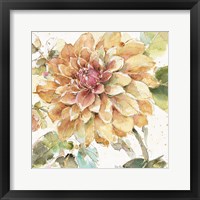 Country Bloom V Framed Print