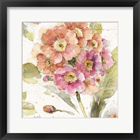 Country Bloom VI Framed Print